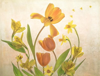 Gyldne forårsblomster af Catherine Wang