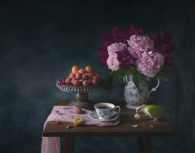 Parrots bordgodbid af Catherine Wang
