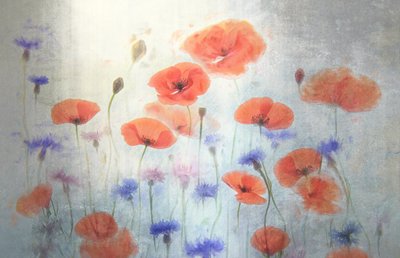 Blød valmueeng af Catherine Wang