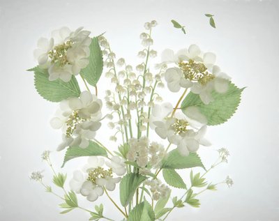 Buket fra White Lily Valley af Catherine Wang