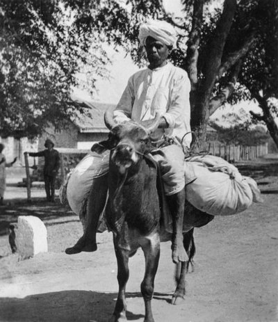 Vaskemanden, Indien, slutningen af det 19. eller begyndelsen af det 20. århundrede. af Cavanders Ltd