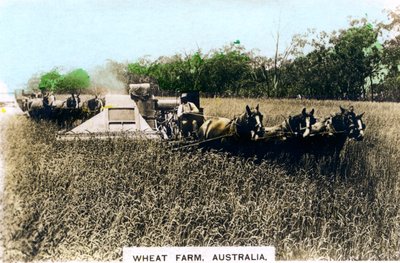 Grenfell hvedefarm, Australien, c1920