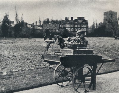 Kartofler i Kew Gardens, 1941 af Cecil Beaton