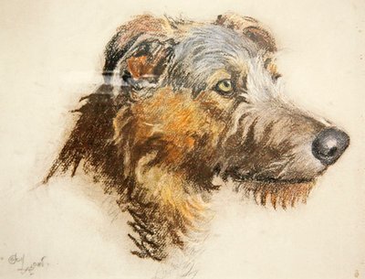En skotsk hjortehund (pastel på tonet papir) af Cecil Charles Windsor Aldin