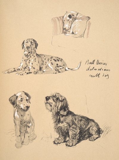 Bull Terrier, Dalmatians and Mutt Dog, 1930, Illustrationer fra hans skitsebog brugt til Just Among Friends, Aldin, Cecil Charles Windsor (1870-1935), senere udgivet af Eyre og Spottiswoode Limited, af Cecil Charles Windsor Aldin