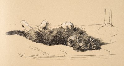 Rough Daschund Puppy Detail, 1930, Illustrationer fra hans skitsebog brugt til Just Among Friends, Aldin, Cecil Charles Windsor (1870-1935), senere udgivet af Eyre og Spottiswoode Limited, 1934, Cha af Cecil Charles Windsor Aldin