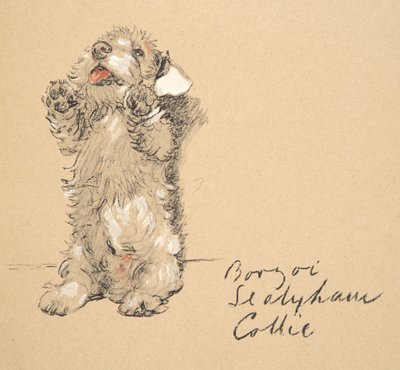 Sealyham, 1930, illustrationer fra hans skitsebog brugt til Just Among Friends, senere udgivet af Eyre og Spottiswoode Limited, 1934 (kridt og trækul på papir) af Cecil Charles Windsor Aldin