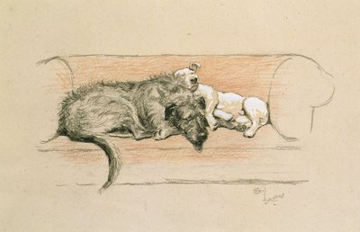 Ulvehund og bullterrier sovende på en sofa (pastel på papir) af Cecil Charles Windsor Aldin