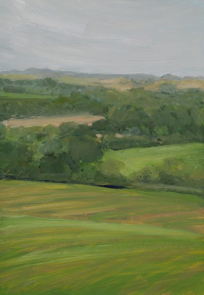 Regn, Cornbury Park, Cotswolds (olie på panel) af Celia Montague