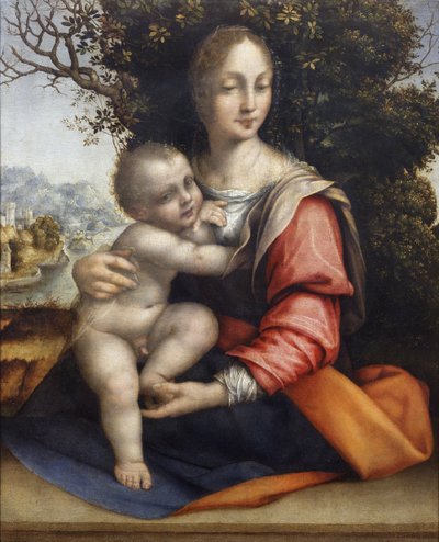 Madonna og barn (Vor Frue af træet) af Cesare da Sesto