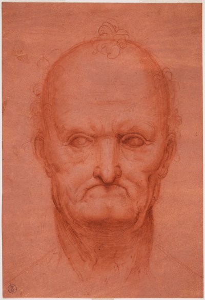Hoved af gammel mand, ca. 1515 (blod på forberedt rødt papir) af Cesare da attr.to Sesto