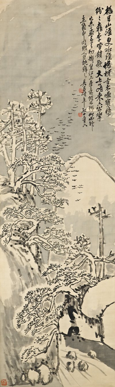 Snefyldt vinter af Changshuo Wu