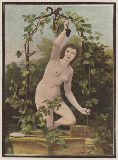 Kvinde plukker druer fra en vinstok (farve litho) af Charles (after) Landelle