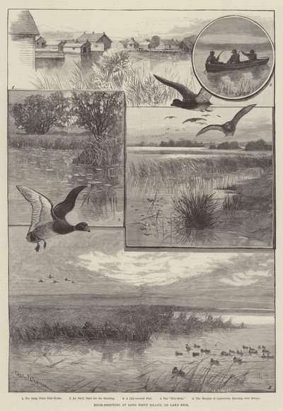 Andeskydning ved Long Point Island, ved Lake Erie (gravering) af Charles (after) Whymper