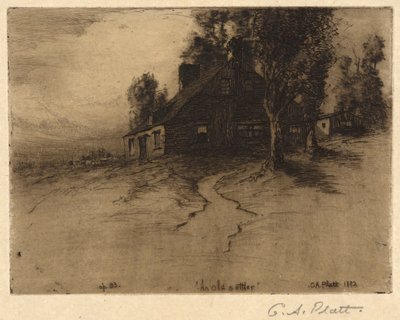 En gammel nybygger af Charles A. Platt