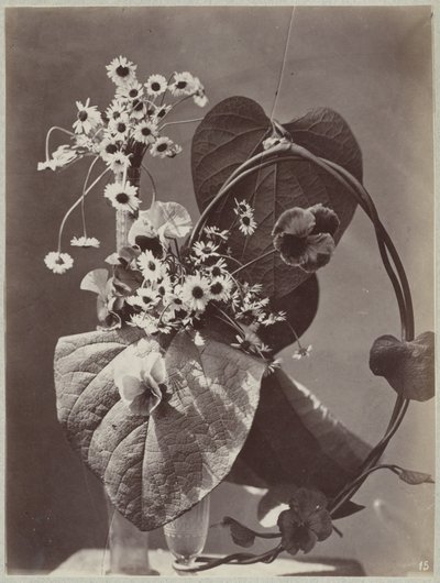 Blomsterstudie med glasvaser af Charles Aubry (manner of)