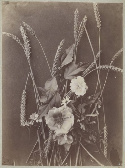 Blomsterstudie med aks af Charles Aubry (manner of)
