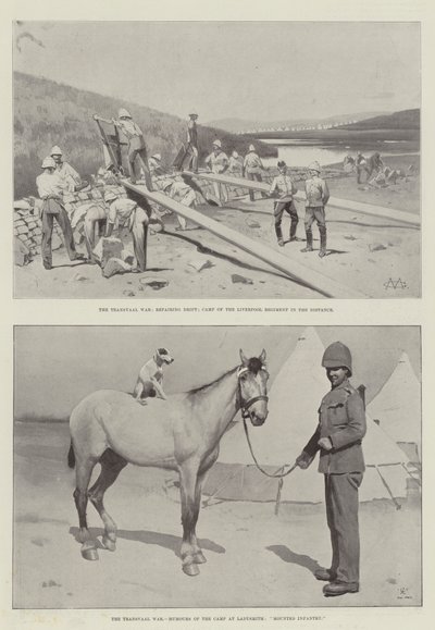 Transvaalkrigen af Charles Auguste Loye