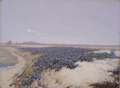 Blomsterdækkede klitter (olie på lærred) af Charles Augustus Lasar