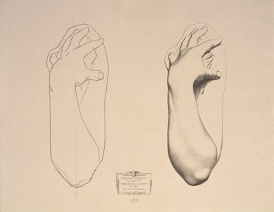 Bent Arm of a Woman, plade 22 fra Cours de Dessin bind I, Modeles dapres la bosse, ca. 1868 af Charles Bargue