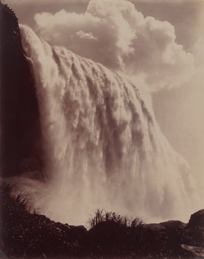 Niagaravandfaldene af Charles Bierstadt