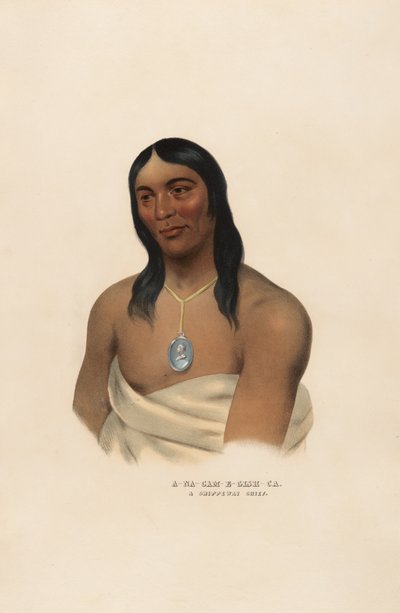 A-na-cam-e-gish-ca af Charles Bird King