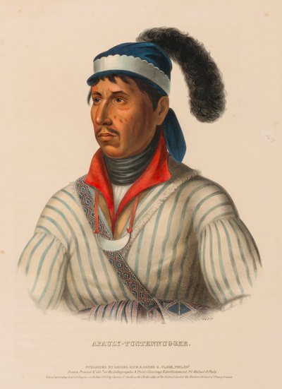 APAULY-TUSTENNUGGEE, fra Historien om indianerstammerne i Nordamerika af Charles Bird King