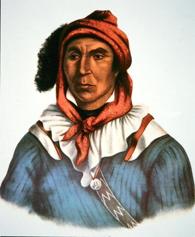 Julcee Mathla af Charles Bird King