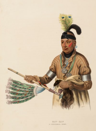 NAW-KAW. A WINNEBAGO CHIEF, fra History of the Indian Tribes of North America. af Charles Bird King