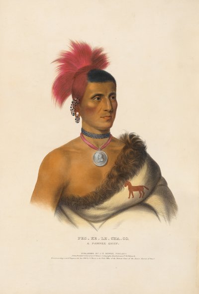  af Charles Bird King