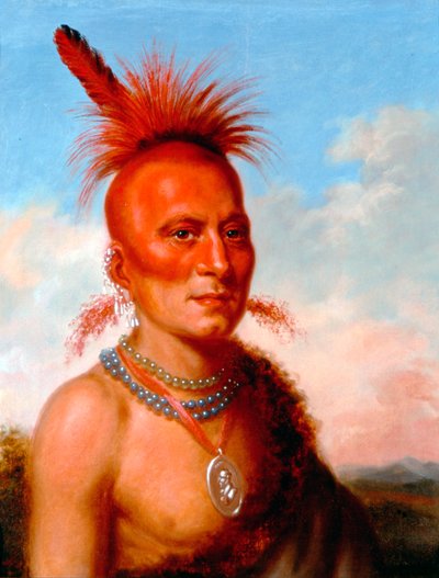 Sharitarish (ondskabsfuld høvding), Pawnee af Charles Bird King