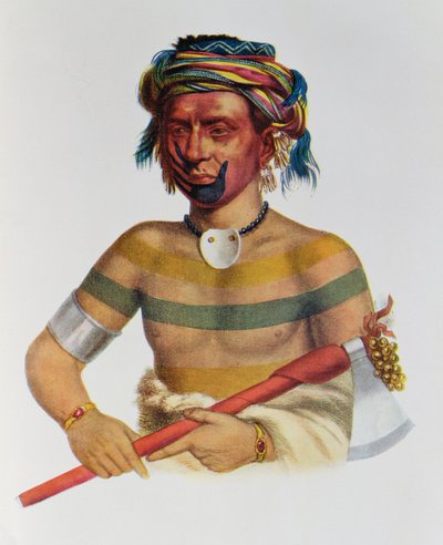 Shau-Hau-Napo-Tinia, en Iowa Chief, 1837, illustration fra 