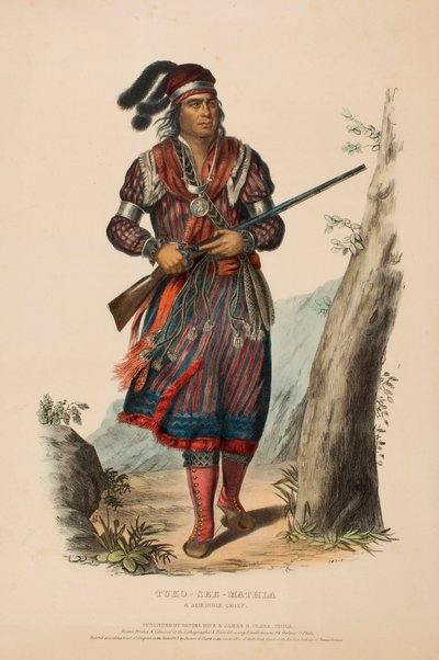 TUKO-SEE-MATHLA. A SEMINOLE CHIEF, fra History of the Indian Tribes of North America. af Charles Bird King