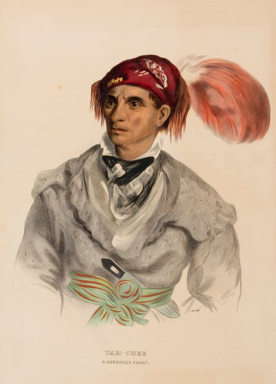 Tah-Chee (hollandsk), en cherokee-høvding, fra History of the Indian Tribes of North America af Charles Bird King