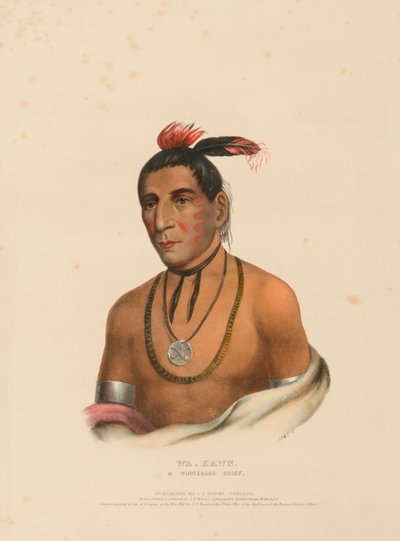 WA-KAWN, EN WINNEBAGO-HØFDE, fra Historien om indianerstammerne i Nordamerika af Charles Bird King