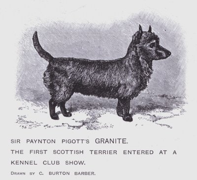 Sir Paynton Pigotts granit (litho) af Charles Burton (after) Barber