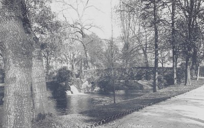 Bordeaux: Jardin-Public, den rustikke bro (s/h-foto) af Charles Chambon