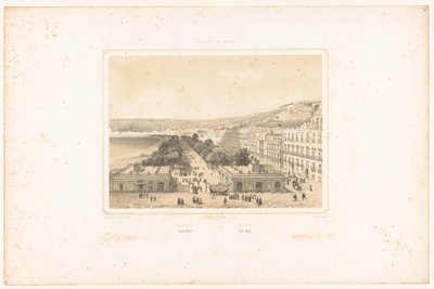 Udsigt over Villa Poggio Reale med allé af træer i Napoli Napoli. Jardin Royal / Napoli. Villa Reale (titel på objekt) Faces of the Kingdom of Napoli (serietitel) Royaume de Naples (serietitel på objekt) af Charles Claude Bachelier