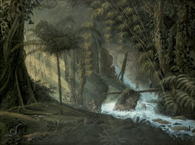 brasiliansk skov af Charles Comte de Clarac