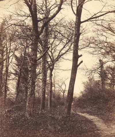 Vinter, 1855. af Charles Conway