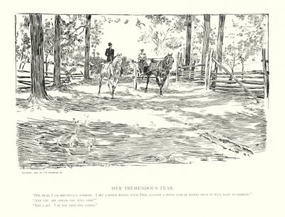 Hendes enorme frygt (litografi) af Charles Dana Gibson