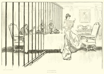 Illustration til Den sociale stige af Charles Dana Gibson