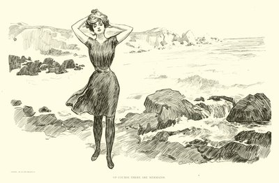 Illustration til Den sociale stige af Charles Dana Gibson