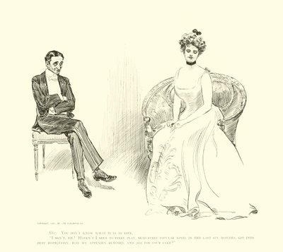 Illustration til Den sociale stige af Charles Dana Gibson