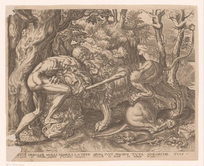 Hercules holder Nemean-løven i et kvælertag Labours of Hercules efter Frans Floris (serietitel) af Charles David