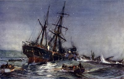 The Wreck of the Birkenhead, 1852 af Charles Edward Dixon