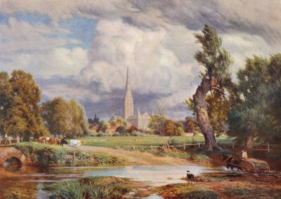 Salisbury Cathedral (farvelitografi) af Charles Edward Johnson