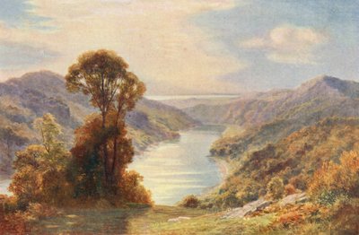 Wye-floden nær dens sammenløb med Severn-floden (farvelitografi) af Charles Edward Johnson