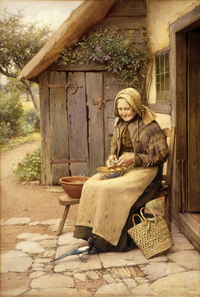 En finfjeret ven (w/c på papir) af Charles Edward Wilson