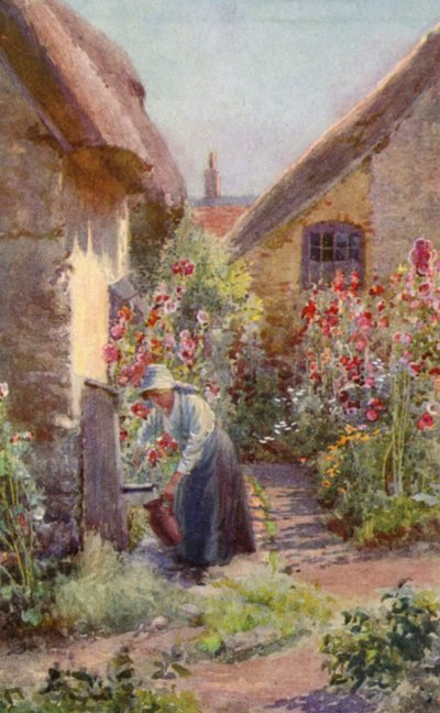Stokroser i en hyttehave (farve litho) af Charles Edwin Flower